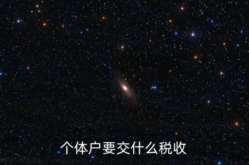 個體地稅交什么稅，個體戶要交什么稅收