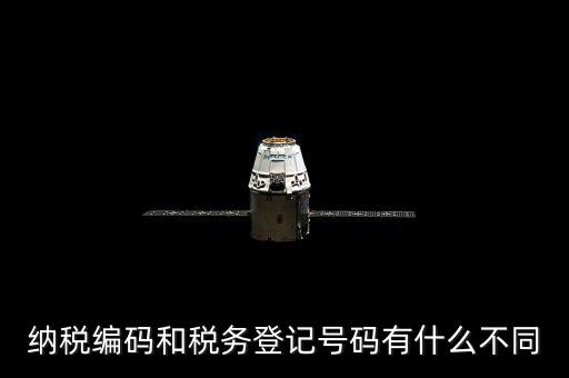 個人納稅編號是什么意思，納稅編碼和稅務(wù)登記號碼有什么不同