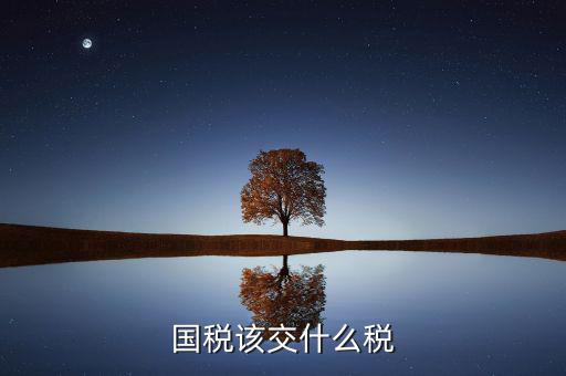 在國稅要繳納什么稅，國稅都交什么稅