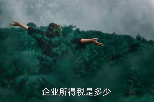 生產(chǎn)企業(yè)稅收標準是什么，企業(yè)所得稅是多少