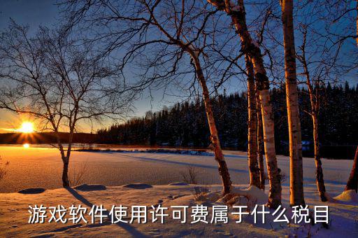 軟件使用費(fèi)交什么稅，軟件使用費(fèi)應(yīng)開國稅發(fā)票還是地稅發(fā)票