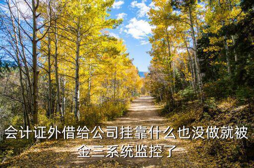 金三系統有什么問題，會計證外借給公司掛靠什么也沒做就被金三系統監(jiān)控了