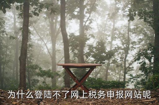 申報(bào)個(gè)稅登錄不上去是什么原因，為什么我的個(gè)人所得稅總是登不上去