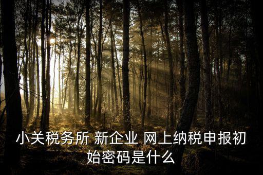 深圳國稅微信預(yù)約密碼是什么意思，小關(guān)稅務(wù)所 新企業(yè) 網(wǎng)上納稅申報(bào)初始密碼是什么