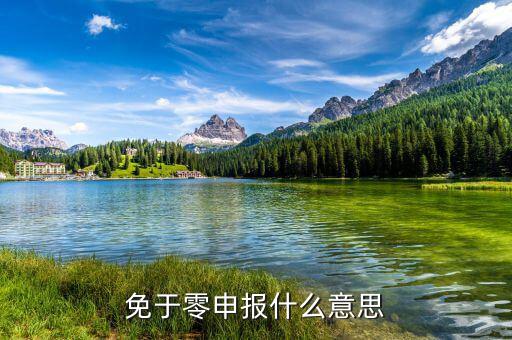 免予零申報是什么意思，免于零申報是什么意思