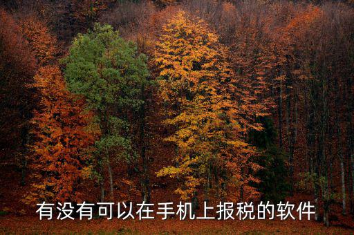 手機辦稅是什么，賣手機怎樣納稅