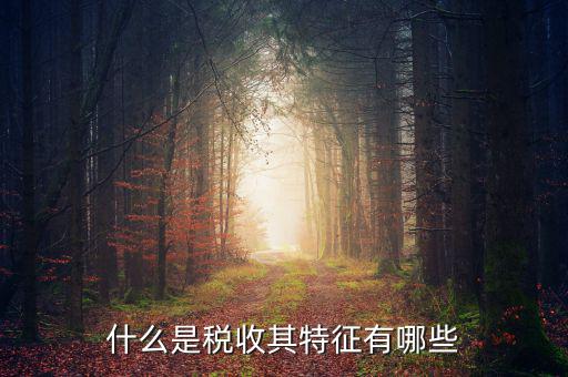 稅收的特點(diǎn)是什么意思，稅收的實(shí)質(zhì)和特征