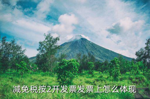 發(fā)票減免原因是什么意思，發(fā)票單上已免是什么意思