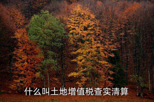 土地增值稅為什么清算，土地增值稅清算
