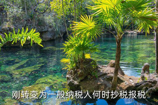 什么時(shí)候抄報(bào)稅，什么時(shí)候去國稅局抄稅