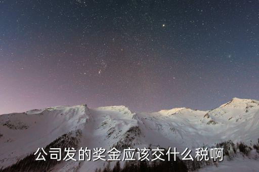 公司發(fā)的獎金應該交什么稅啊