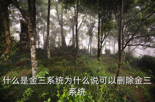 國稅金三系統是什么，什么是金三系統為什么說可以刪除金三系統