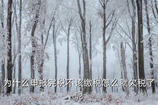 為什么國稅欠稅不催繳，因稅務(wù)機關(guān)原因未能及時繳納稅款是否屬于欠稅