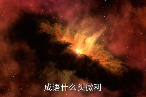什么是微利，微保是什么怎么進(jìn)入微保誰知道