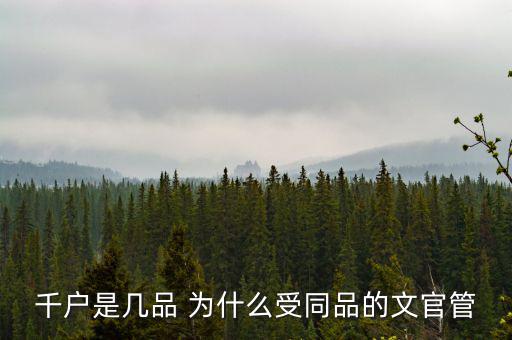 什么千戶集團(tuán)，千戶是什么意思
