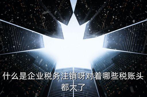 什么是錯(cuò)峰預(yù)約辦稅，網(wǎng)上辦稅系統(tǒng)納稅人未開(kāi)通使用此介入軟件是什么意思