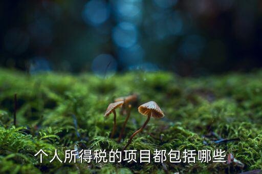 所得項目填什么，個人所得稅必須要填寫六項嗎我沒一項符合