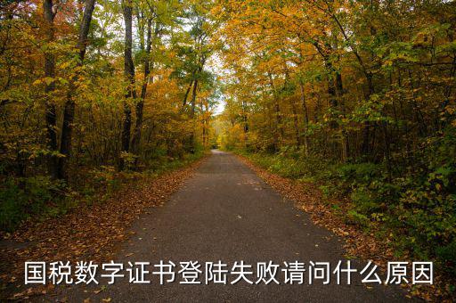 國稅數字證書登陸失敗請問什么原因