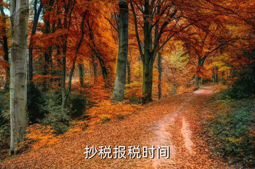 報(bào)稅廳抄報(bào)什么時(shí)候點(diǎn)，抄報(bào)稅的時(shí)間問題