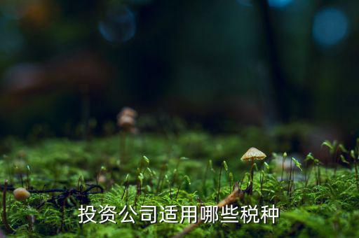 投資款需要交什么稅，投資公司適用哪些稅種