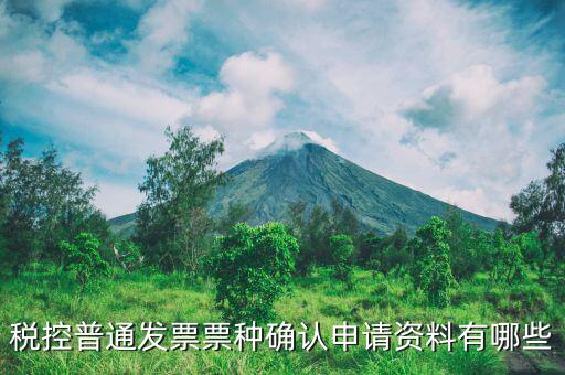 票種核定申請(qǐng)交什么資料，發(fā)票票種核定調(diào)整被拒需要提供什么資料