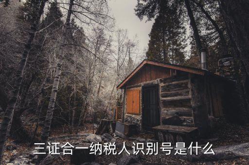 稅號(hào)識(shí)別號(hào)是什么意思，納稅人編碼 納稅人識(shí)別號(hào)有什么區(qū)別