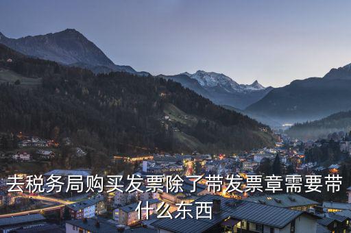 拿發(fā)票需要帶什么，去稅務局領發(fā)票需要帶什么資料去