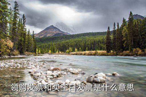 領(lǐng)取空白發(fā)票需要什么用，領(lǐng)用增值稅發(fā)票的時(shí)候內(nèi)開的空白發(fā)票要帶嗎