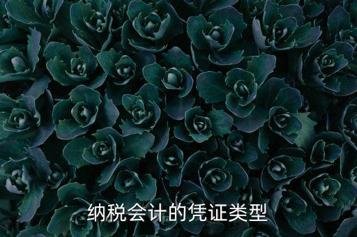 應(yīng)納稅憑證種類是什么，憑證種類999是什么