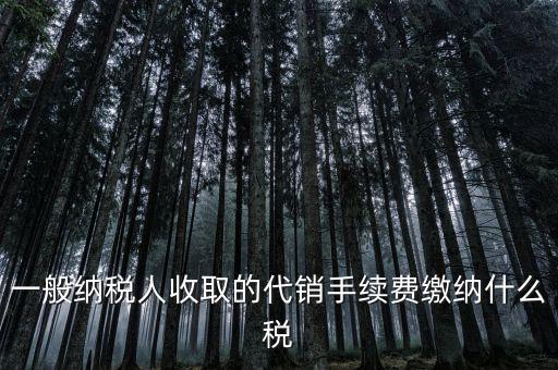 代理服務(wù)費交什么稅，一般納稅人收取的代銷手續(xù)費繳納什么稅