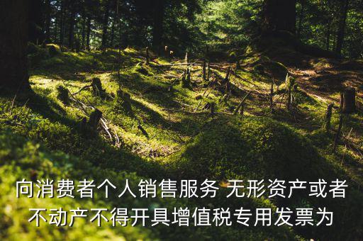 向消費(fèi)者個(gè)人銷售服務(wù) 無(wú)形資產(chǎn)或者不動(dòng)產(chǎn)不得開(kāi)具增值稅專用發(fā)票為