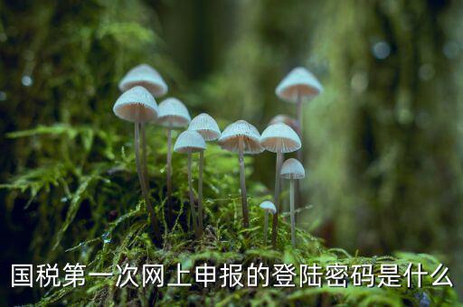 國稅登記密碼是什么，國稅第一次網(wǎng)上申報的登陸密碼是什么