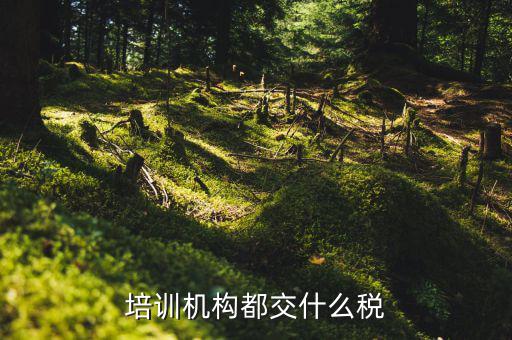 2017培訓機構交什么稅，培訓機構需要交稅的種類有多少