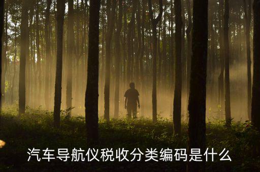 汽車的稅收分類編碼是什么意思，汽車導航儀稅收分類編碼是什么
