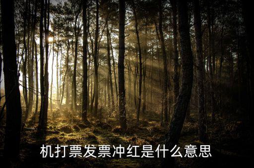 沖紅發(fā)票什么意思，單據(jù)沖紅是什么意思