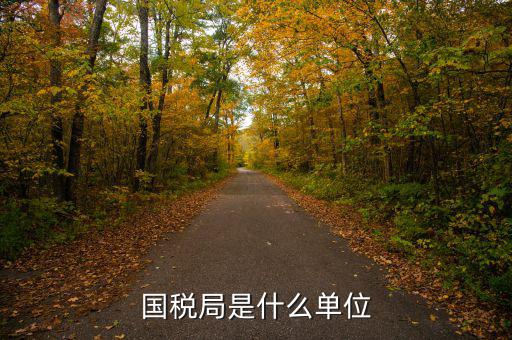 省國稅局直屬什么機(jī)構(gòu)，國稅局是什么單位