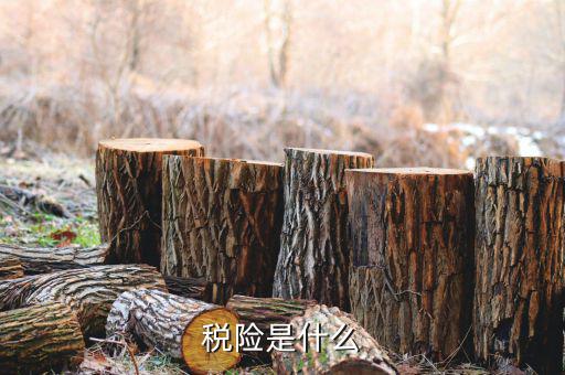 融稅融保險是什么意思，稅險是什么