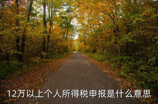 申報個稅什么意思，個稅明細申報是指什么