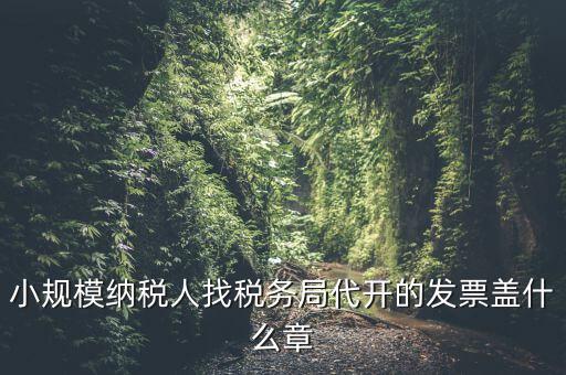 小規(guī)模納稅人找稅務(wù)局代開(kāi)的發(fā)票蓋什么章