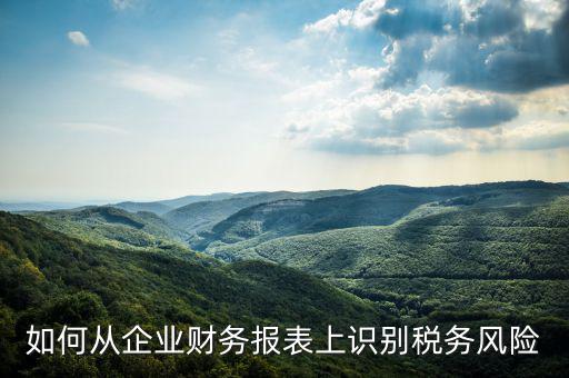 稅務(wù)風(fēng)險核查是什么意思，虛開增值稅專用發(fā)票核查 什么意思