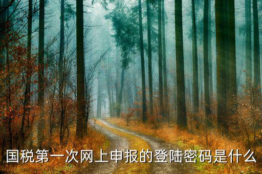 廣州國(guó)稅官網(wǎng)登錄密碼是什么，稅務(wù)局網(wǎng)站的登入賬戶初始密碼是什么