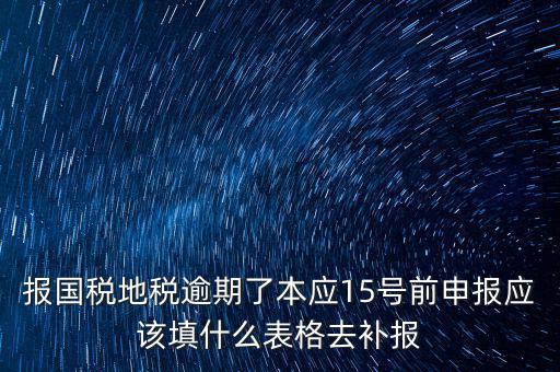 補錄國地稅信息都錄什么，報國稅地稅逾期了本應15號前申報應該填什么表格去補報