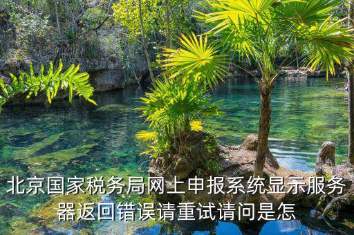 北京國(guó)家稅務(wù)局網(wǎng)上申報(bào)系統(tǒng)顯示服務(wù)器返回錯(cuò)誤請(qǐng)重試請(qǐng)問是怎