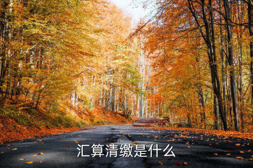 匯算清繳查賬都查什么，稅務(wù)局要對我司進行匯算清繳后的查帳包括費用帳成本帳往來帳