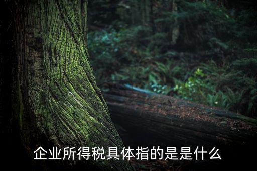 什么是企業(yè)所得，什么是企業(yè)所得稅