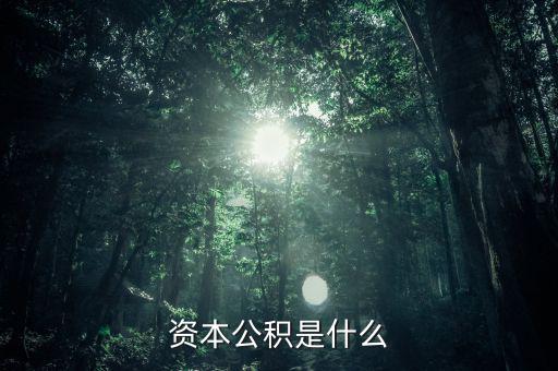 攜稅寶是什么，資本公積是什么