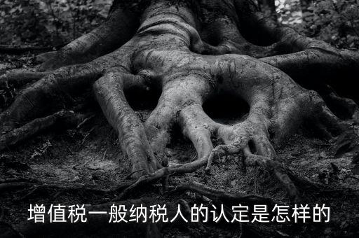 一般納稅人認(rèn)證是什么，一般納稅人資格證什么