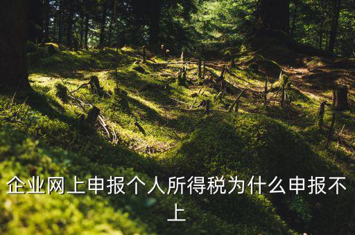 為什么稅務申報不了了，為什么申報不上