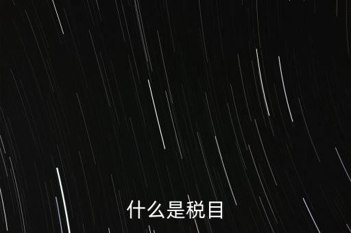 什么是稅法 文化，中華人民共和國地稅法