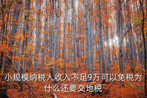 為什么納地稅，為什么要規(guī)定納稅地點(diǎn)